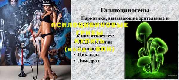 эйфоретик Балахна