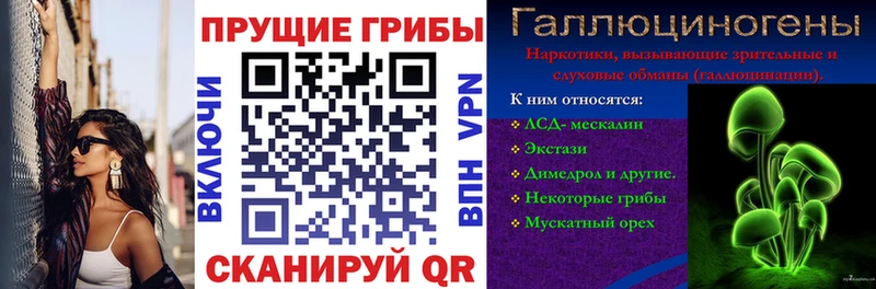 Галлюциногенные грибы ЛСД  Купить закладки  Суздаль 