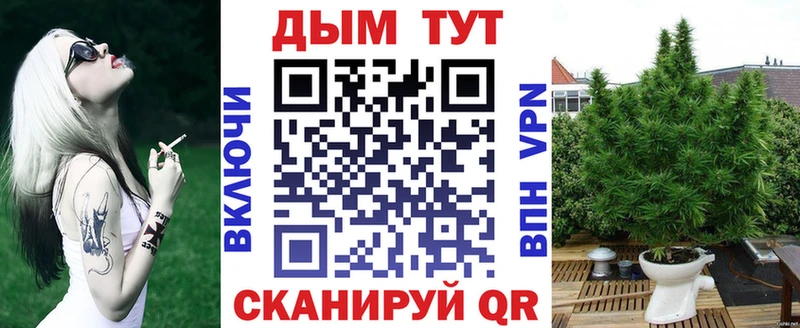 Купить закладки  Суздаль  Шишки марихуана ГИДРОПОН 